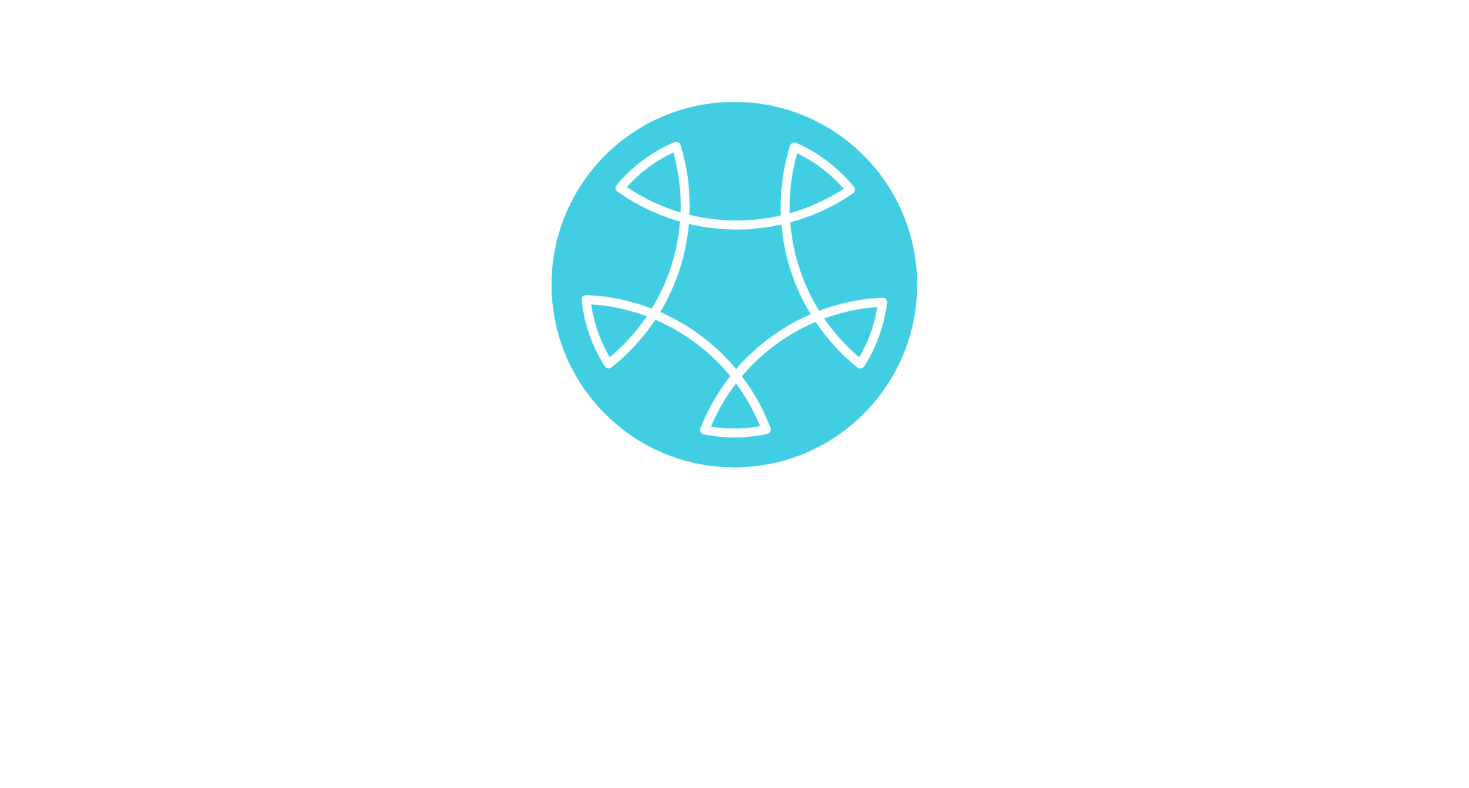 CleverHealth Network (2_chn_logo.png)